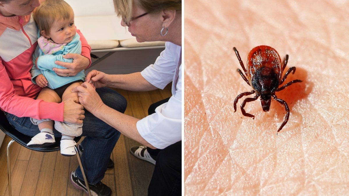 Då ska du vaccinera ditt barn mot TBE