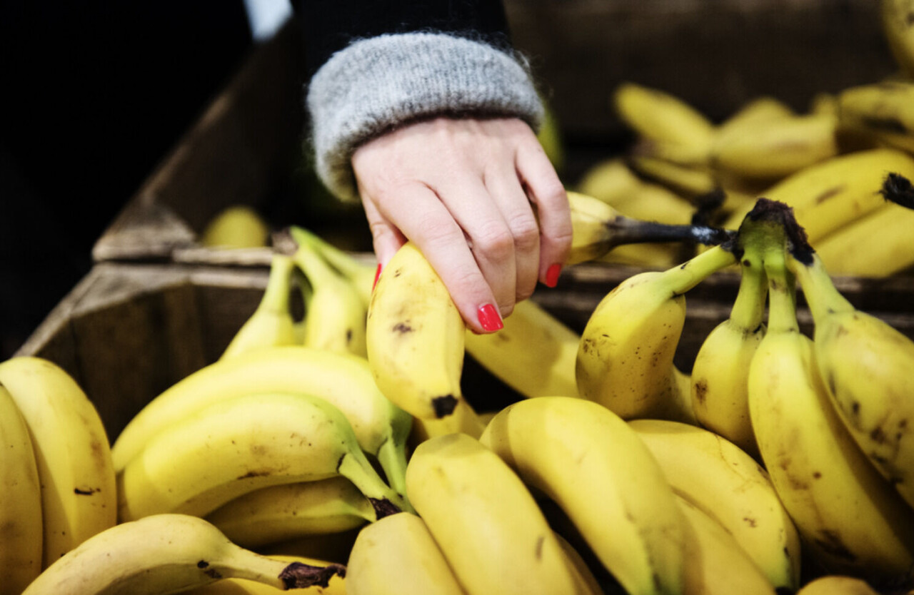 En bananbåt till Helsingborg väntas bli den första som berörs av Hamnarbetarförbundets blockad mot ryskägda fartyg.