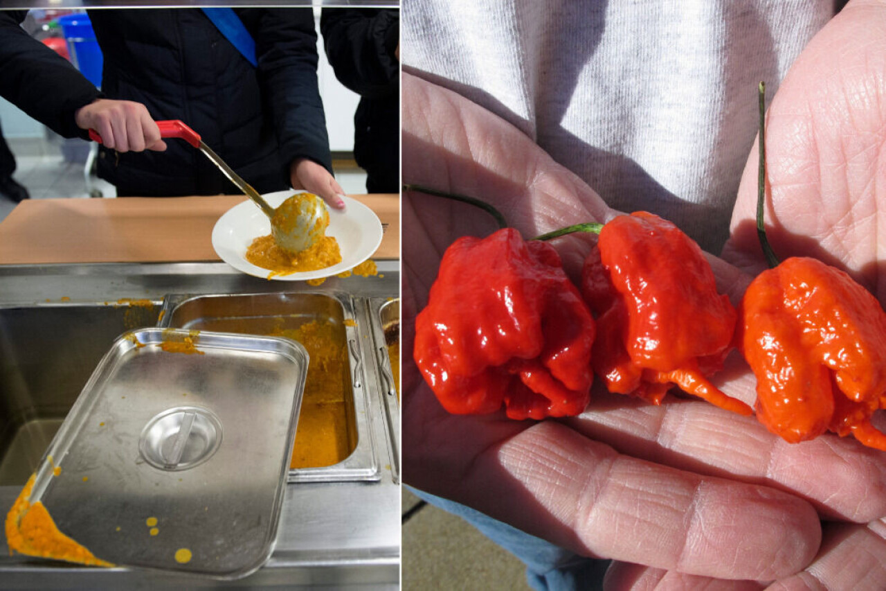 Carolina reaper är världens hetaste chilisort.